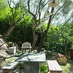 Retreat With Among Olive Trees In Lerici