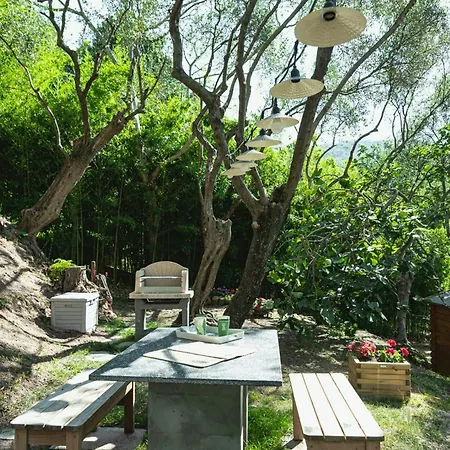 Retreat With Among Olive Trees In Lerici