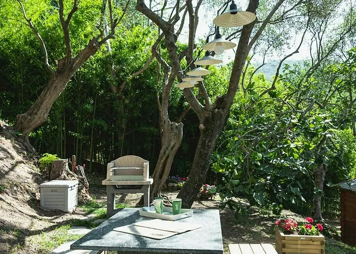 Retreat With Among Olive Trees In Lerici
